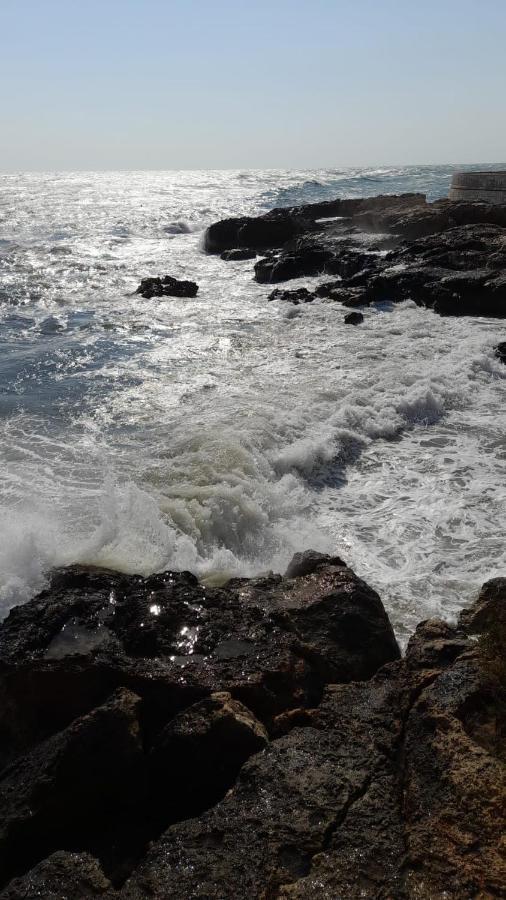 La Preferita Appartamento Vista Lato Mare Monopoli Exteriör bild